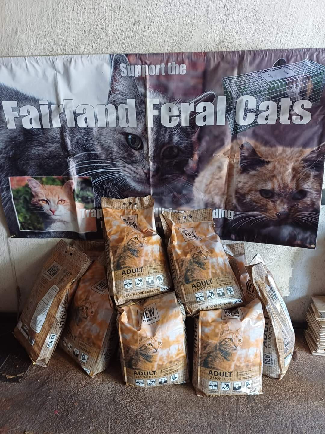 Fairland Feral Cats